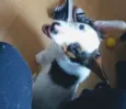 Lucky