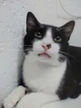 MIGUEL