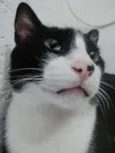 MIGUEL