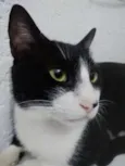 MIGUEL