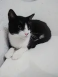 MIGUEL