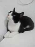 MIGUEL