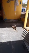 VIDA
