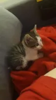 Jimmy