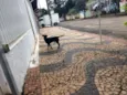 abandonado