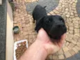 abandonado