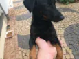 abandonado