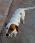 Amora