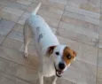 Amora
