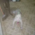 Jack