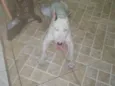 Jack