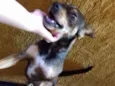 ROCKY