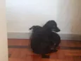 Naná e Doce de Leite