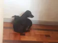 Naná e Doce de Leite