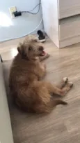 Oma