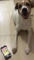Lia