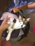 Não a nomes