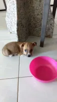 Não tem