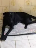 Preta
