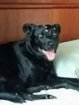 Preta