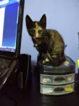 Kiki