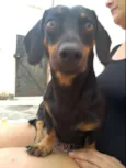 Loki e Múndi