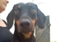 Loki e Múndi