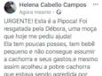Pipoca