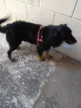 Bili