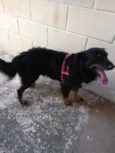 Bili