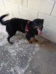 Bili