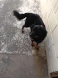 Bili