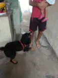 Bili
