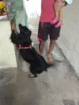 Bili