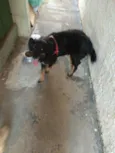 Bili
