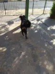 Bili