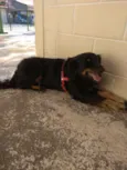 Bili