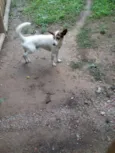 Snoop