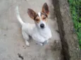 Snoop
