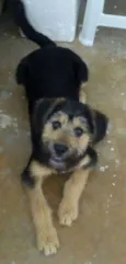 Billy
