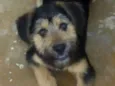 Billy