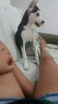 Pieta 