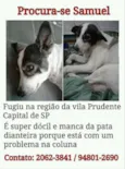 Samuel