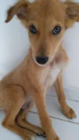 - 