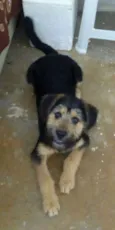 Billy 