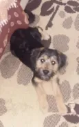 Billy 