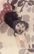 Billy