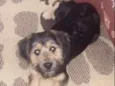 Billy 