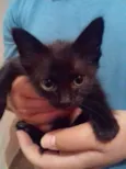 Tutti
