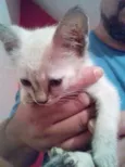 Nina
